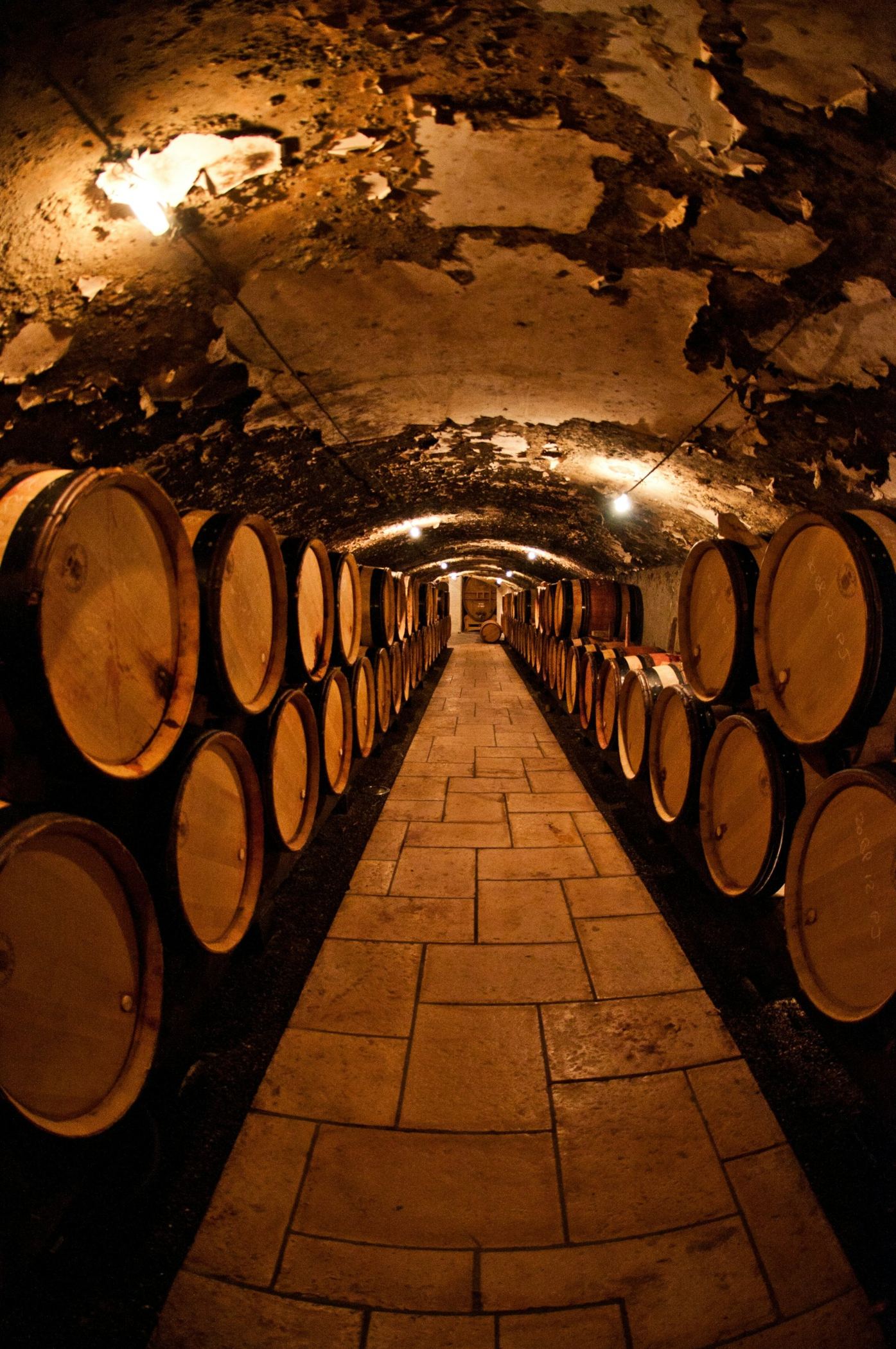 Cave voûtée en pierre, rangées de fûts de chêne de part et d'autre d'une allée dallée